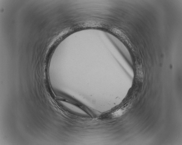 X0000062650395200601181815