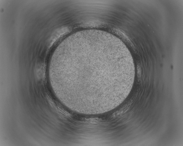 X0000062650396200601181815