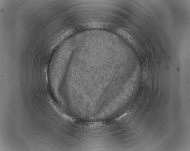 X0000062650398200601181815