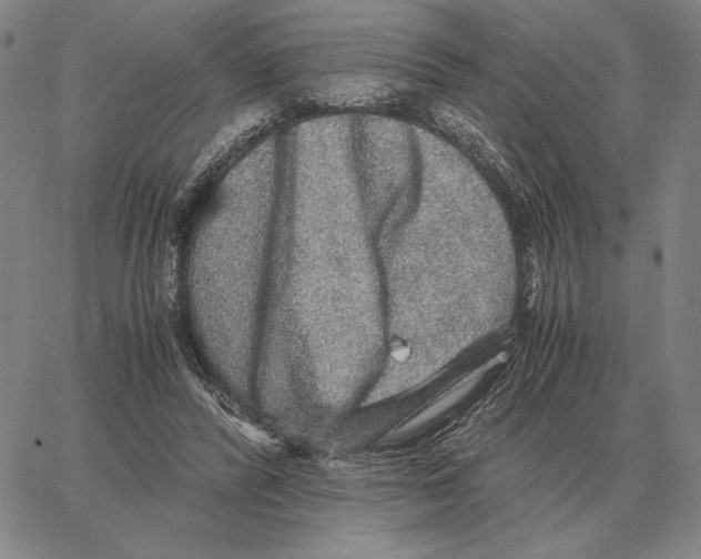 X0000062650400200601181815