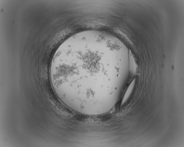 X0000062650403200601181815