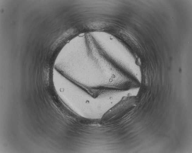 X0000062650404200601181815