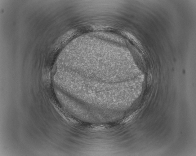 X0000062650405200601181815