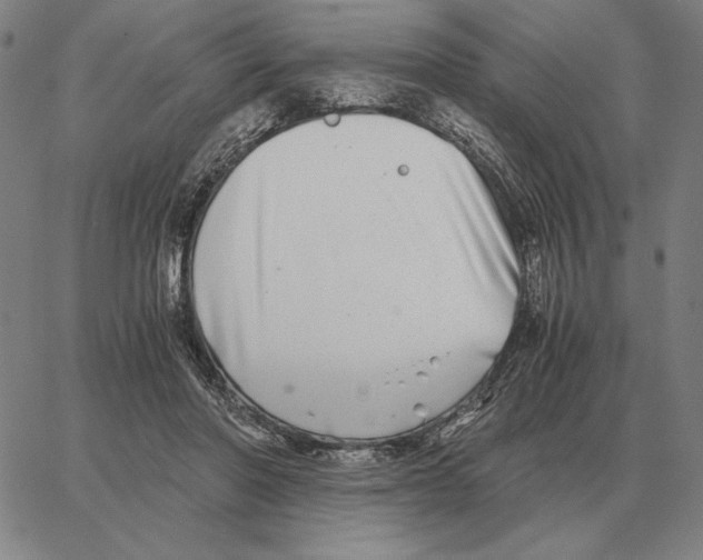 X0000062650406200601181815