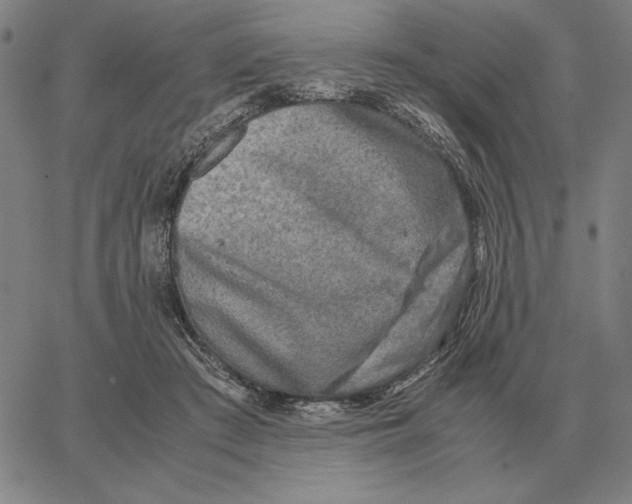 X0000062650409200601181815