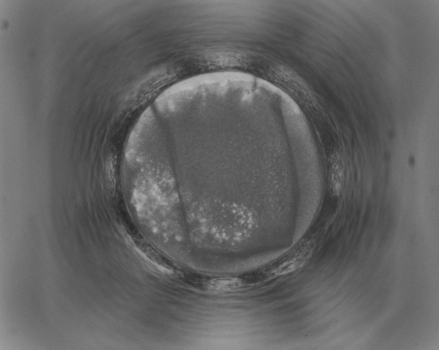 X0000062650410200601181815