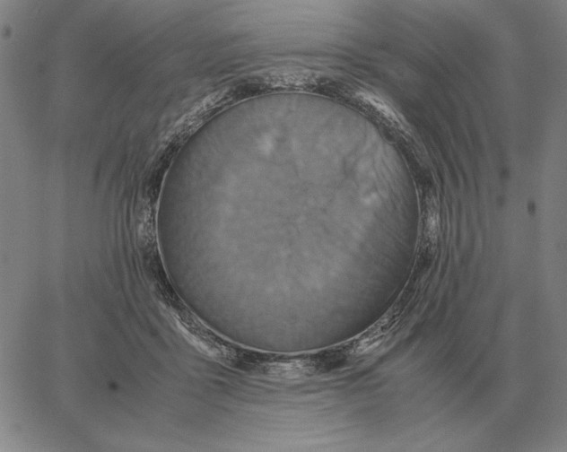 X0000062650411200601181815