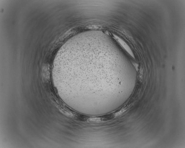 X0000062650413200601181815