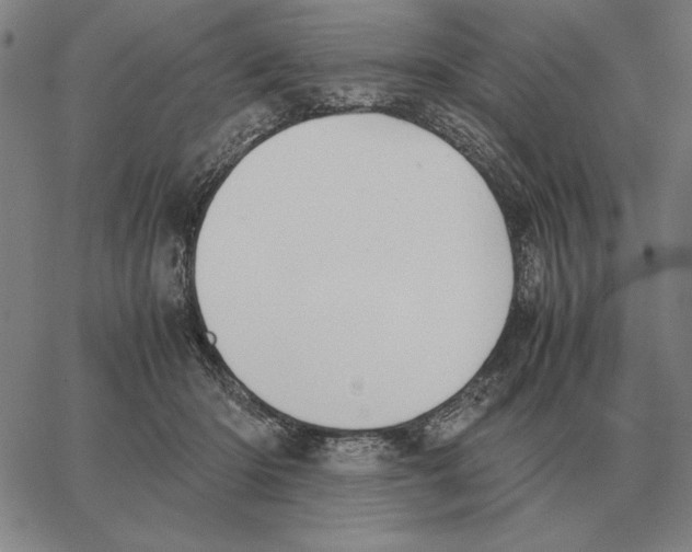 X0000062650414200601181815