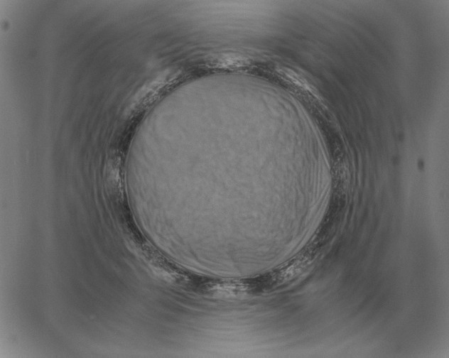 X0000062650415200601181815