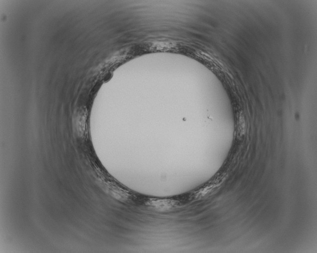 X0000062650417200601181815