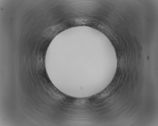 X0000062650418200601181815