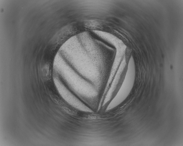 X0000062650420200601181814