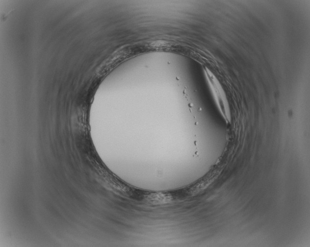 X0000062650421200601181814