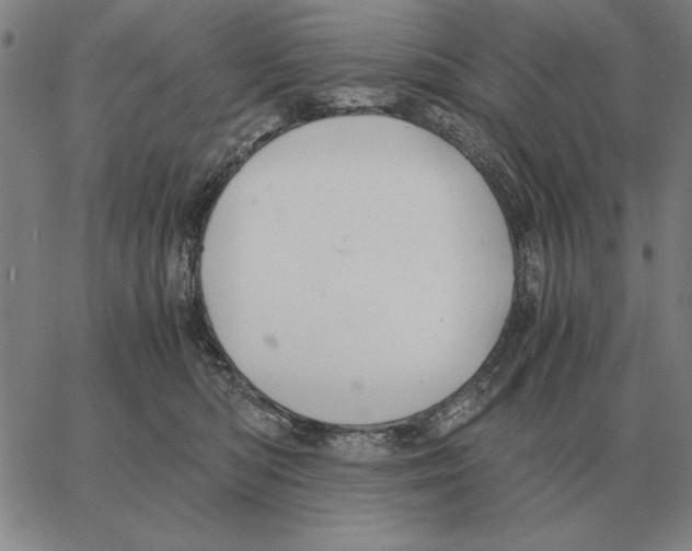 X0000062650422200601181814