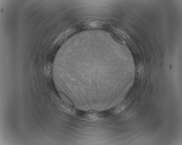 X0000062650423200601181814