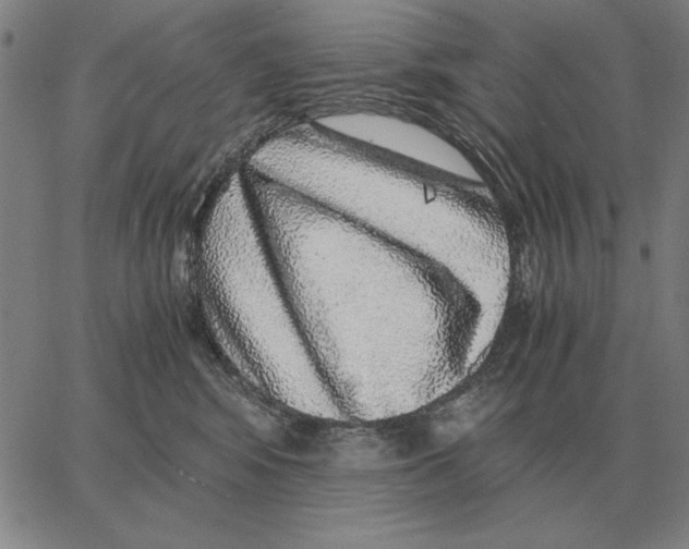 X0000062650424200601181814