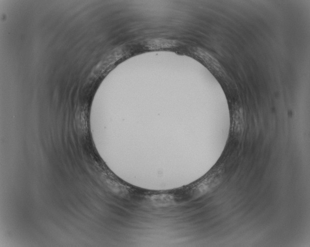 X0000062650426200601181814