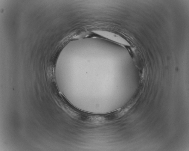 X0000062650429200601181814