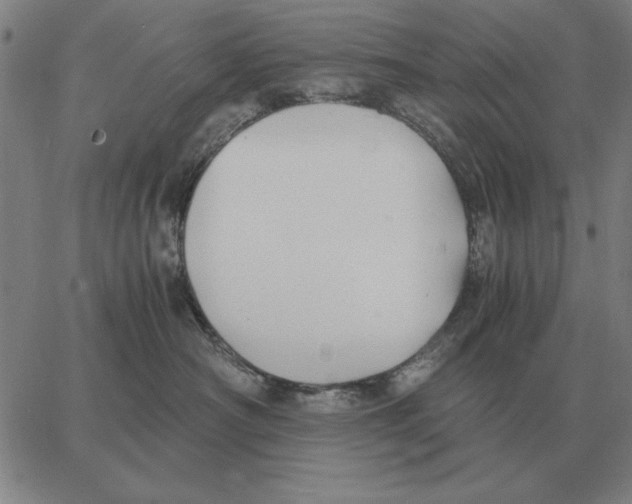 X0000062650430200601181814