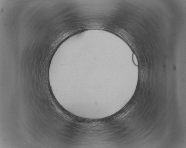 X0000062650433200601181814