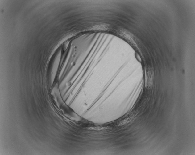 X0000062650435200601181814