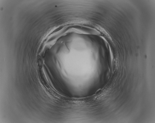 X0000062650436200601181814