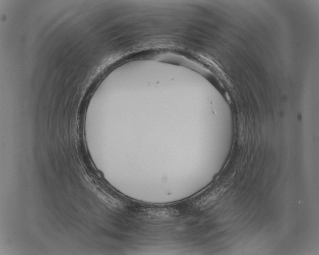 X0000062650439200601181814