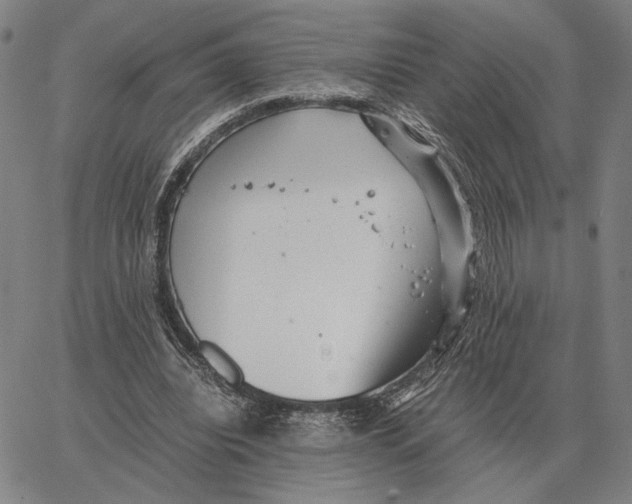 X0000062650440200601181814