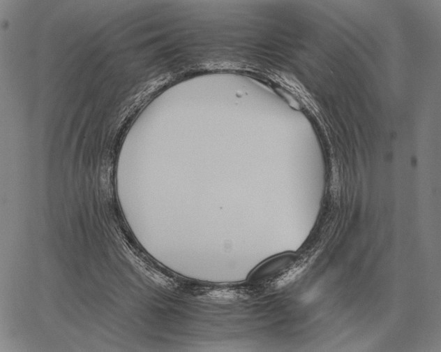 X0000062650441200601181814