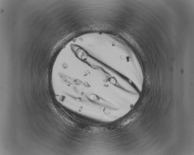 X0000062650442200601181814