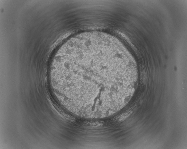 X0000062650443200601181814