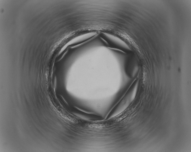 X0000062650444200601181814