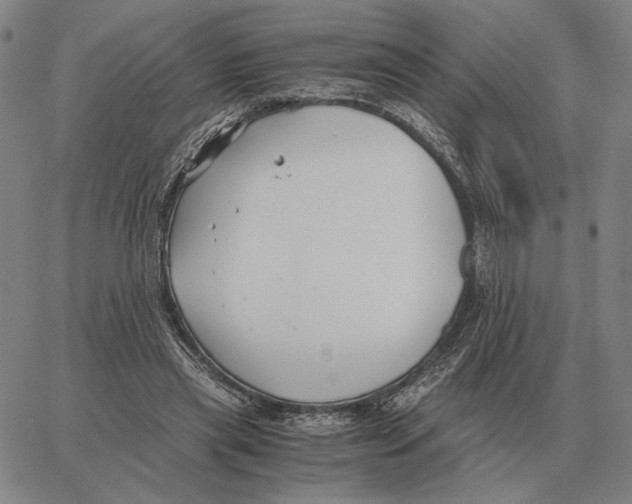 X0000062650445200601181814