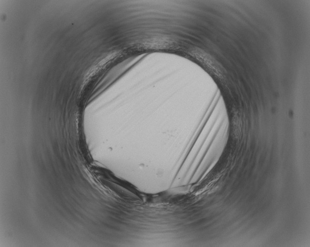 X0000062650446200601181814