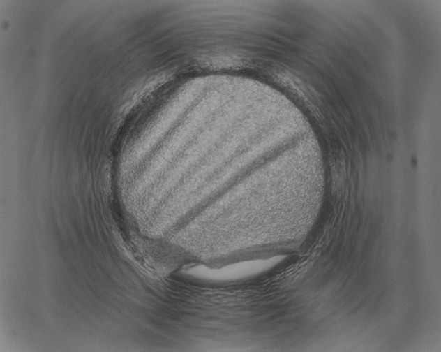 X0000062650447200601181814