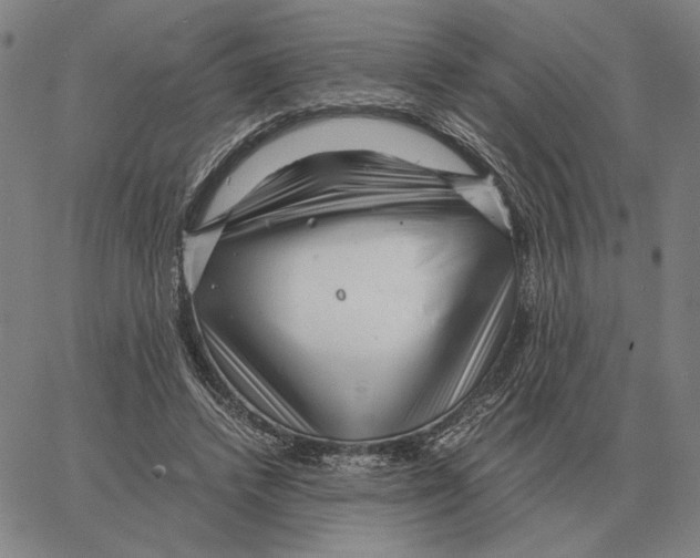 X0000062650448200601181814