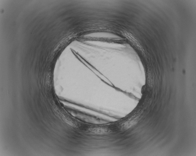 X0000062650449200601181814