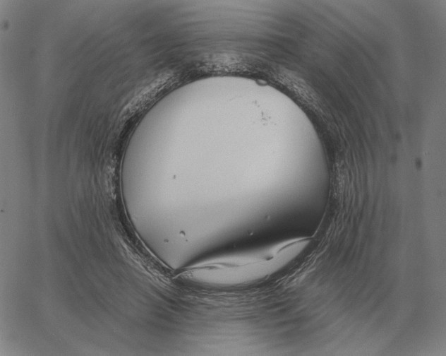 X0000062650450200601181814