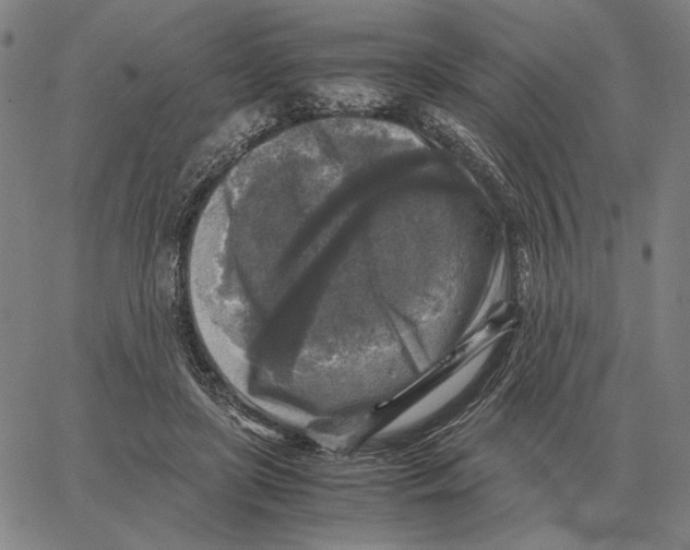 X0000062650451200601181814