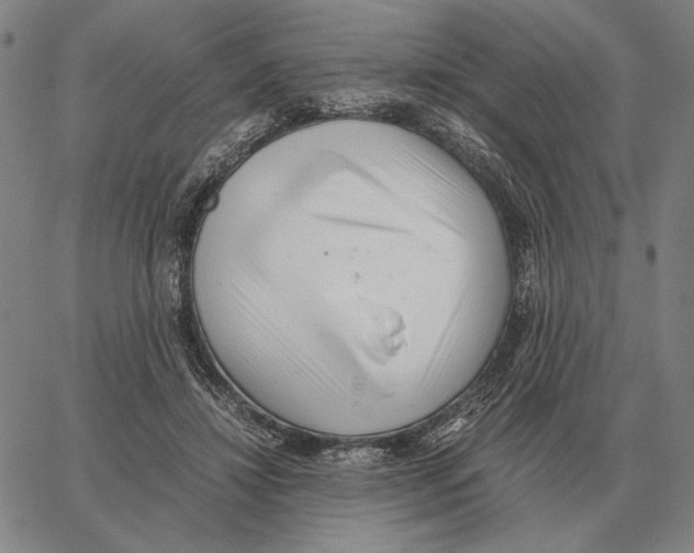 X0000062650452200601181814