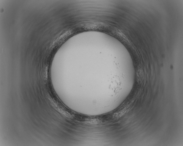 X0000062650454200601181814