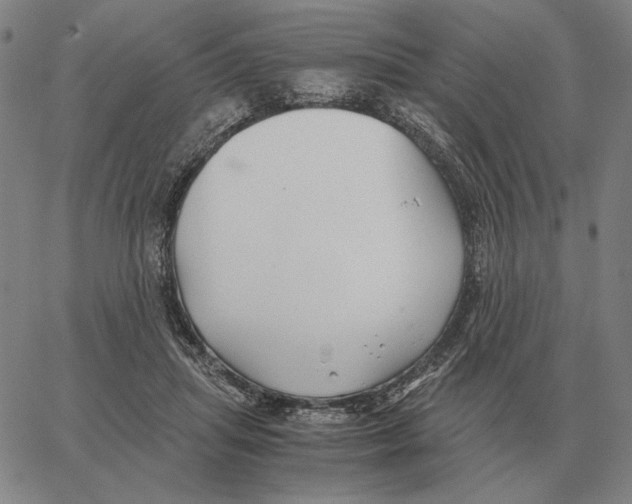 X0000062650455200601181814