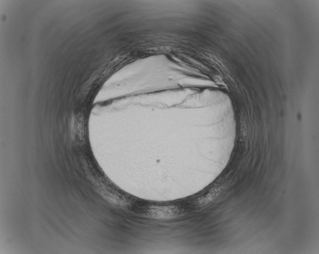 X0000062650457200601181814