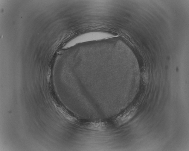 X0000062650458200601181814