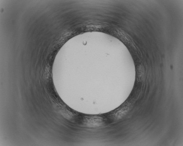 X0000062650463200601181814