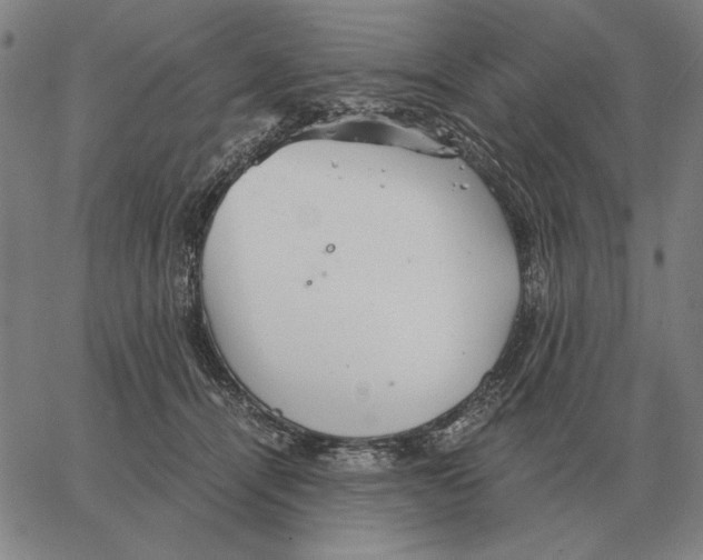 X0000062650464200601181814