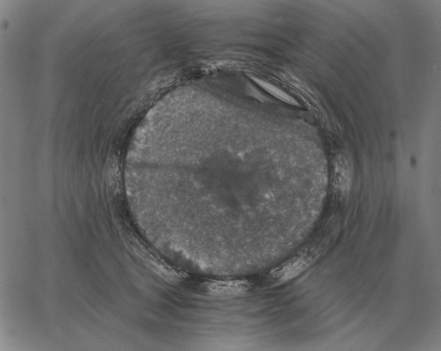 X0000062650465200601181814