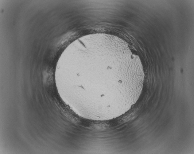 X0000062650466200601181814