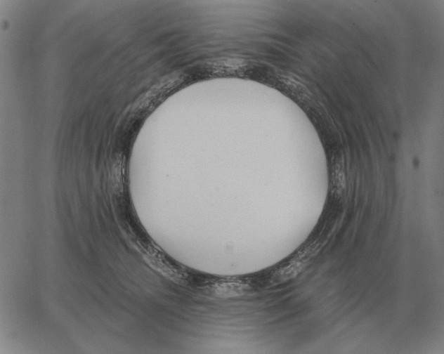 X0000062650468200601181814